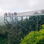 2 Glass bridge bhagamandala and abbey falls road