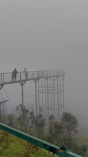 Photo from customer review